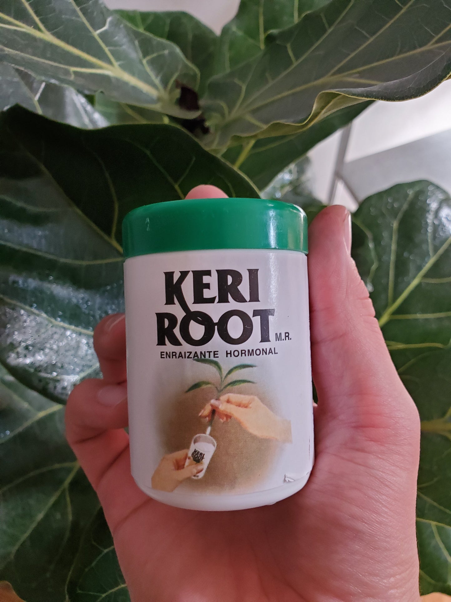 Keri Roots - Enraizante hormonal