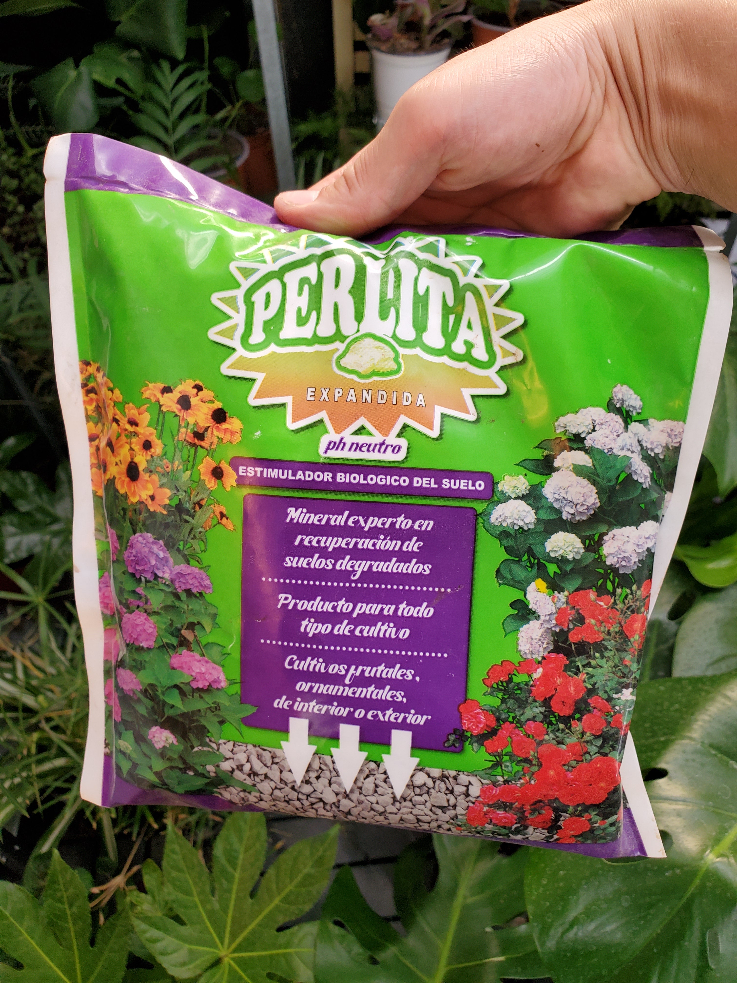 Perlita